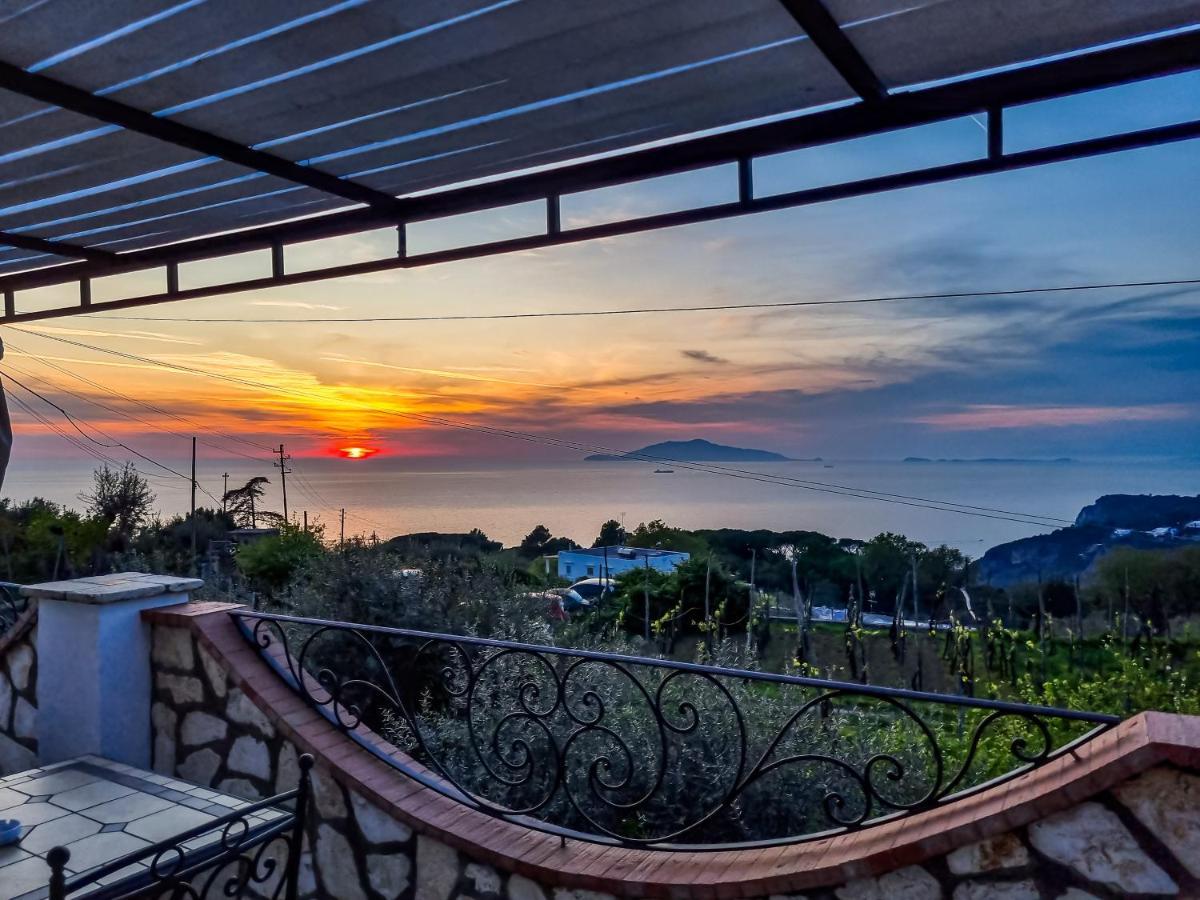 아나카프리 Casa Astra B&B 외부 사진