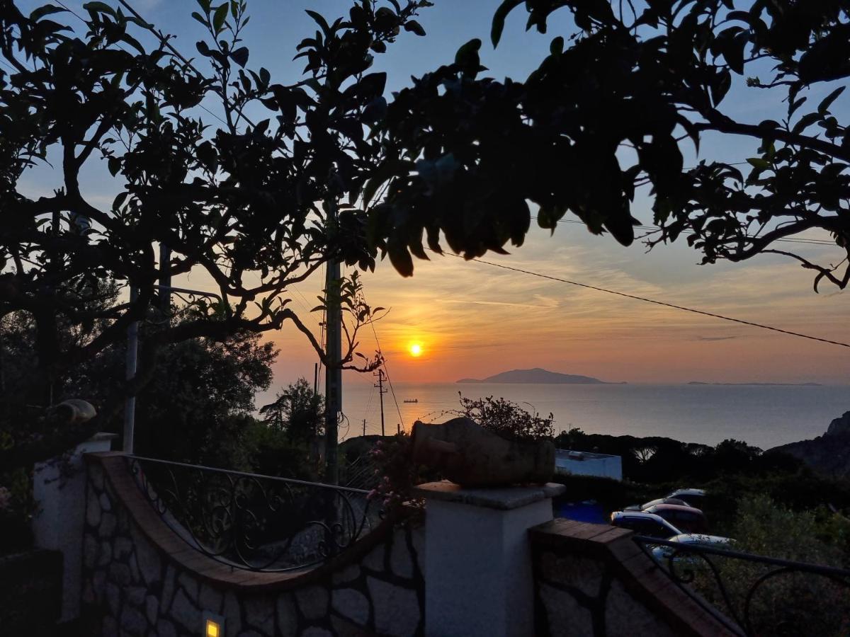 아나카프리 Casa Astra B&B 외부 사진